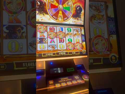 Juega al Casino Buffalo en Línea en España - ¡Experiencia de Juego Sin Igual!